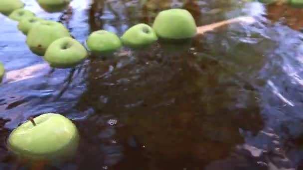 Uma Maçã Verde Flutua Água Rio Entre Muitas Outras Maçãs — Vídeo de Stock