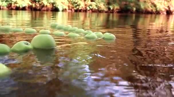 緑のリンゴは他の多くの緑のリンゴの間で川の水に浮かぶ スローモーションビデオ — ストック動画