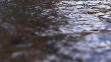 Yeşil elmalar suya düşer ve nehir boyunca yüzer. Yavaş çekim videosu