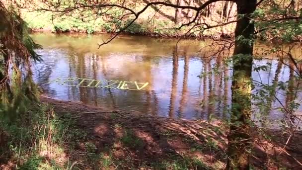The inscription of green apples floats along the river. Slow motion video