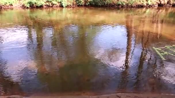 Die Inschrift Grüner Äpfel Schwimmt Entlang Des Flusses Zeitlupenvideo — Stockvideo