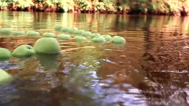 Una Mela Verde Galleggia Nell Acqua Del Fiume Tra Molte — Video Stock