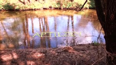 Yeşil elmaların yazıtları nehir boyunca yüzer. Yavaş çekim videosu