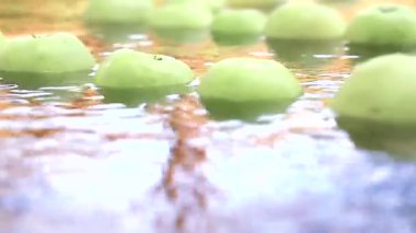 Birçok taze yeşil elma nehirde yüzer. Video