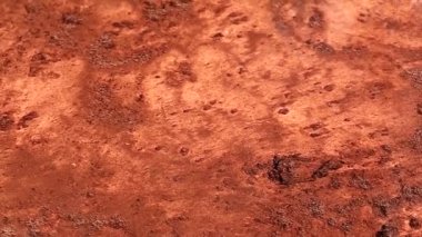 Orman nehri vahşi akış manzarası. Ormandaki vahşi nehir. Orman akıntısı. Orman nehir manzarası