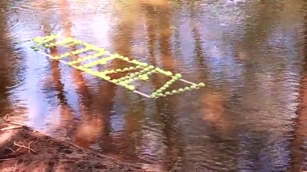 緑のリンゴの碑文が川に沿って浮かんでいる スローモーションビデオ — ストック動画