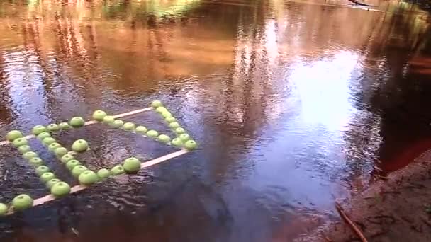 Inscripción Manzanas Verdes Flota Largo Del Río Vídeo Cámara Lenta — Vídeos de Stock