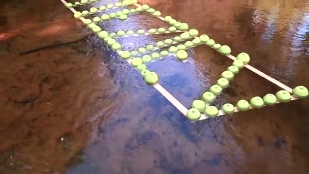 Inscripción Manzanas Verdes Flota Largo Del Río Clima Cálido Soleado — Vídeos de Stock