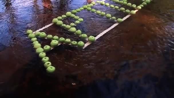 Inscrição Maçãs Verdes Flutua Longo Rio Tempo Quente Ensolarado — Vídeo de Stock