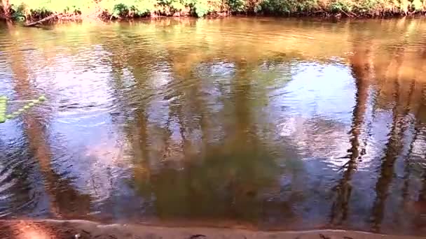 Inscripción Manzanas Verdes Flota Largo Del Río Clima Cálido Soleado — Vídeos de Stock