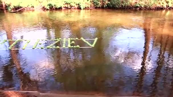 緑のリンゴの碑文が川に沿って浮かんでいる 暖かい晴天 — ストック動画
