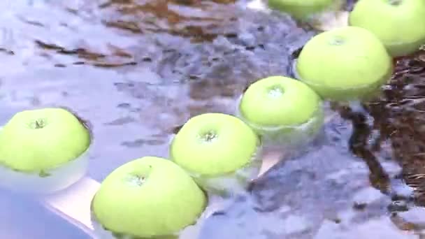 川にはたくさんの新鮮な緑のリンゴが浮かんでいる ビデオ — ストック動画