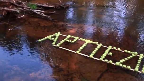 Die Inschrift Grüner Äpfel Schwimmt Entlang Des Flusses Warmes Sonniges — Stockvideo