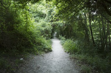 Camino de Santiago Zubiri to Pamplona