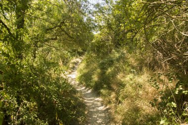 Camino de Santiago Zubiri to Pamplona