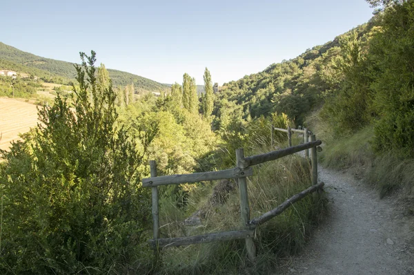 Camino de Santiago Zubiri a Pamplona — Foto Stock