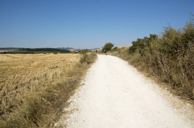 Camino de Santiago from Pamplona to Puente la Reina