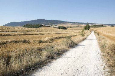 Camino de Santiago from Pamplona to Puente la Reina
