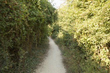 Camino de Santiago from Pamplona to Puente la Reina