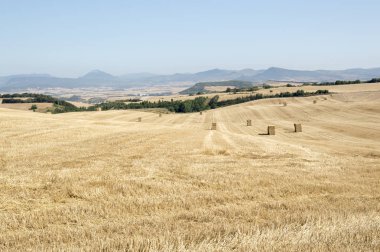 Camino de Santiago from Pamplona to Puente la Reina