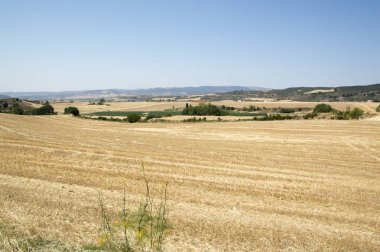 Camino de Santiago from Pamplona to Puente la Reina