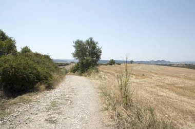 Camino de Santiago from Pamplona to Puente la Reina