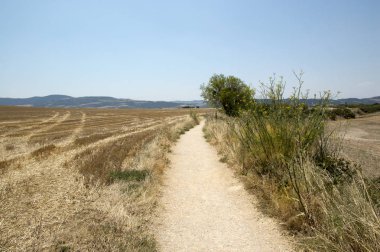 Camino de Santiago from Pamplona to Puente la Reina