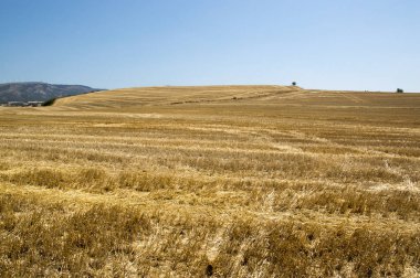 Camino de Santiago from Pamplona to Puente la Reina