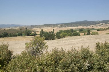 Camino de Santiago from Pamplona to Puente la Reina