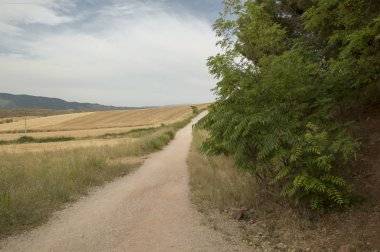 Camino de Santiago from Puente la reina to Estella
