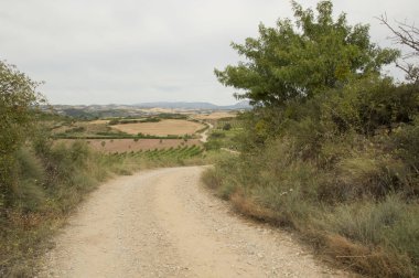 Camino de Santiago from Puente la reina to Estella
