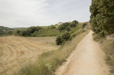 Camino de Santiago from Puente la reina to Estella