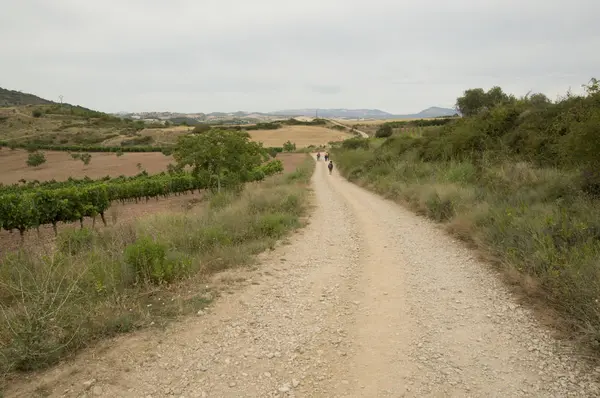Camino de Santiago from Puente la reina to Estella — стокове фото