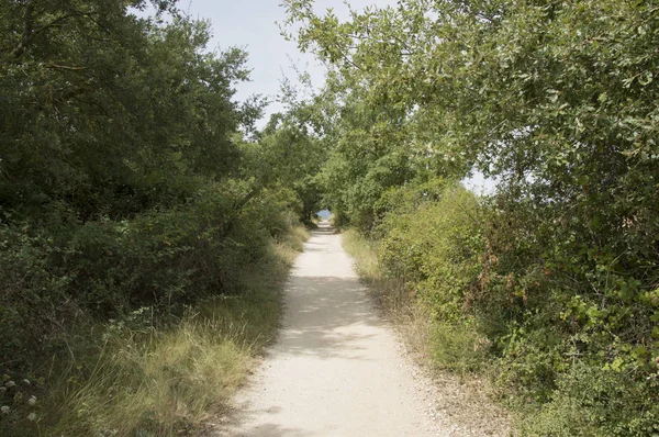 Camino de santiago von puente la reina bis estella — Stockfoto