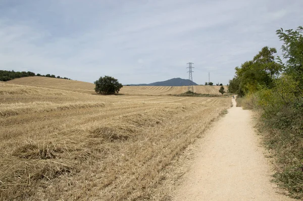 Camino de Santiago from Puente la reina to Estella — Zdjęcie stockowe