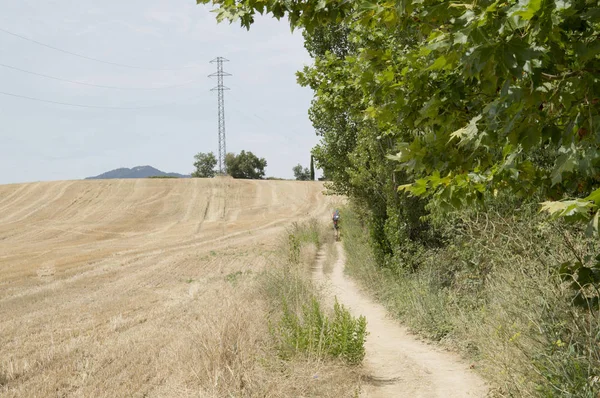 Camino de Santiago from Puente la reina to Estella — Zdjęcie stockowe