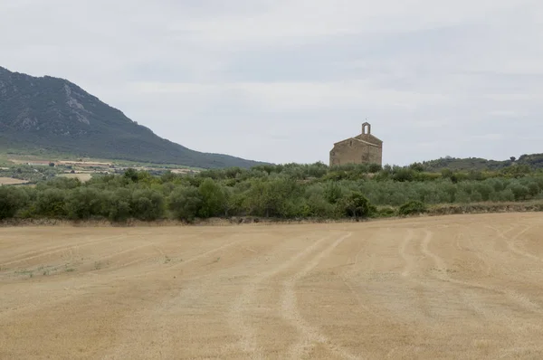 Camino de Santiago desde Puente la reina a Estella — Foto de Stock