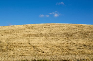 Santiago için yoldan Los Arcos Logroño için