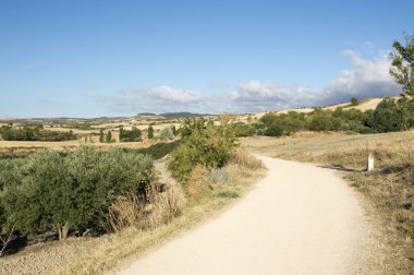 Santiago için yoldan Los Arcos Logroño için