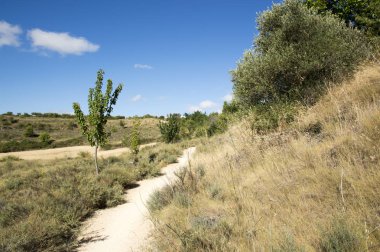 Santiago için yoldan Los Arcos Logroño için