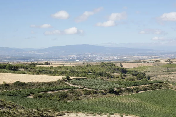 Agriculture -- Méditerranée