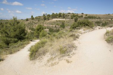 Santiago için yoldan Los Arcos Logroño için
