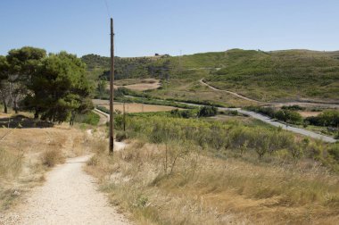 Santiago için yoldan Los Arcos Logroño için