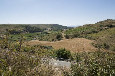 Santiago için yoldan Los Arcos Logroño için