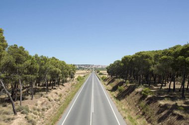 Santiago için yoldan Los Arcos Logroño için