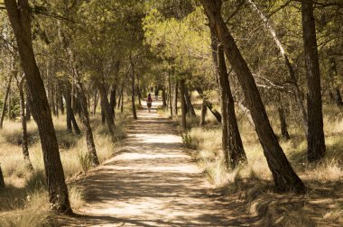 Santiago için yoldan Los Arcos Logroño için
