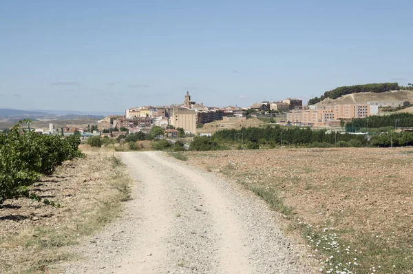 Route de Santiago de Los Arcos à Logrono — Photo