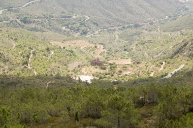 Avuç içi Castellon çölün doğal park