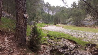 Manzara nehir lobos soria, kanyon