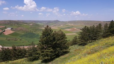 Soria Medinaceli Köyü